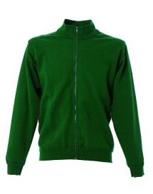 felpa uomo modena green